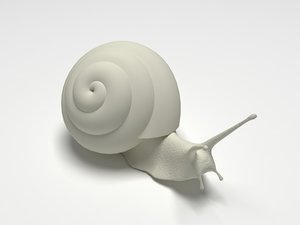 3d snail model