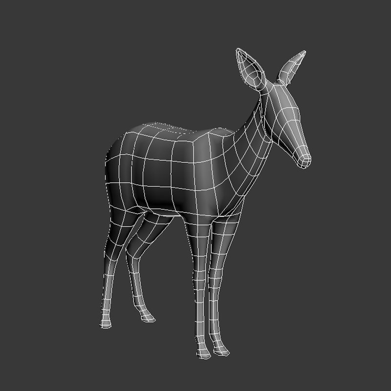 doe 3d model