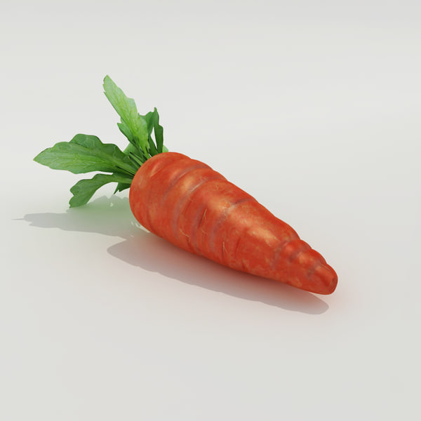 carrot modelled 3d model