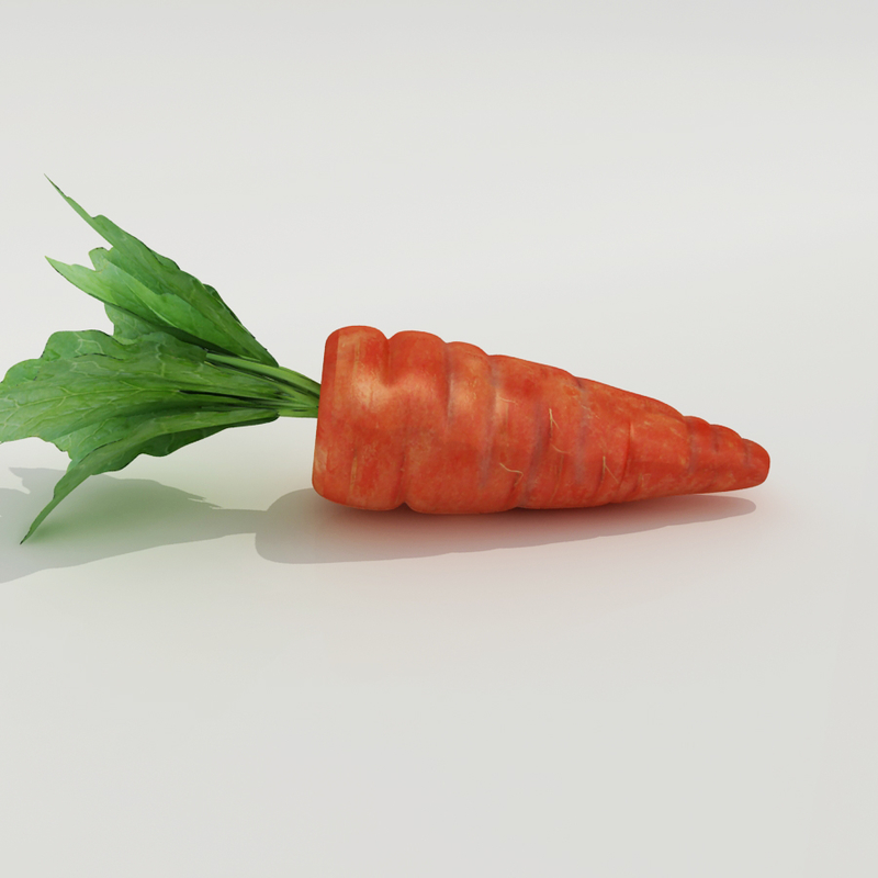 carrot modelled 3d model