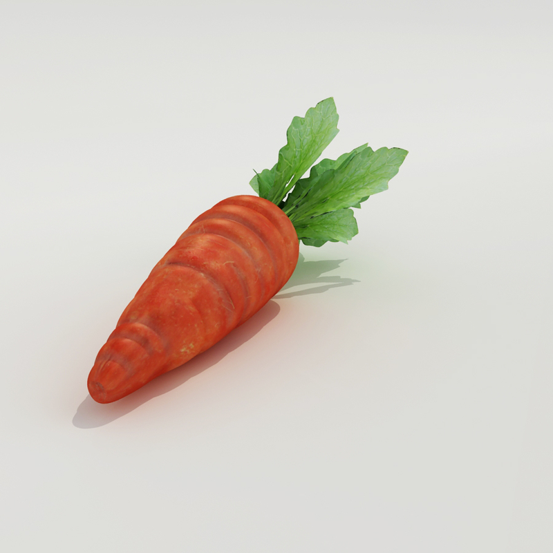 carrot modelled 3d model