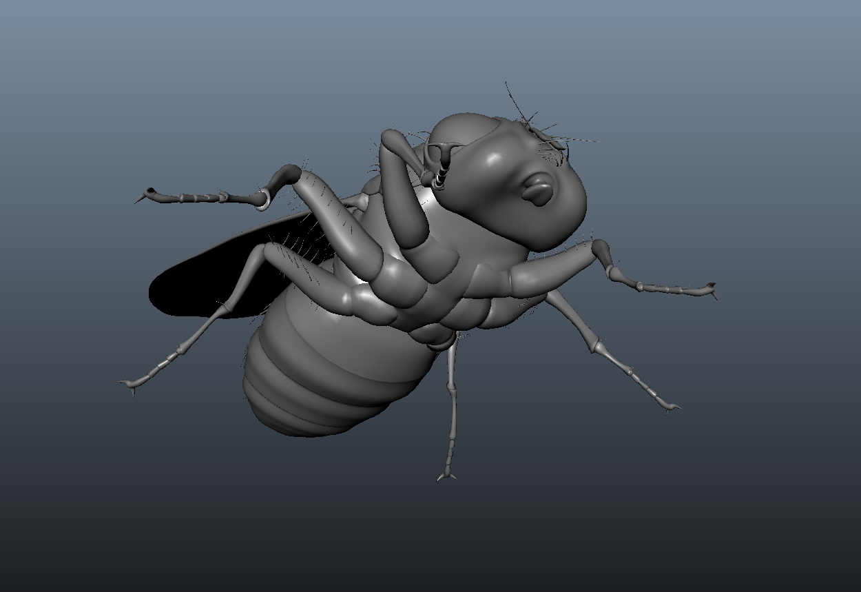 3d house fly model