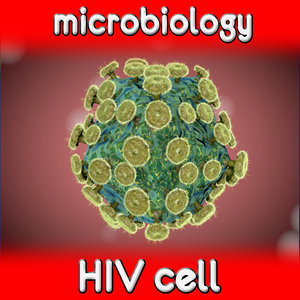 hiv virus cell 3ds