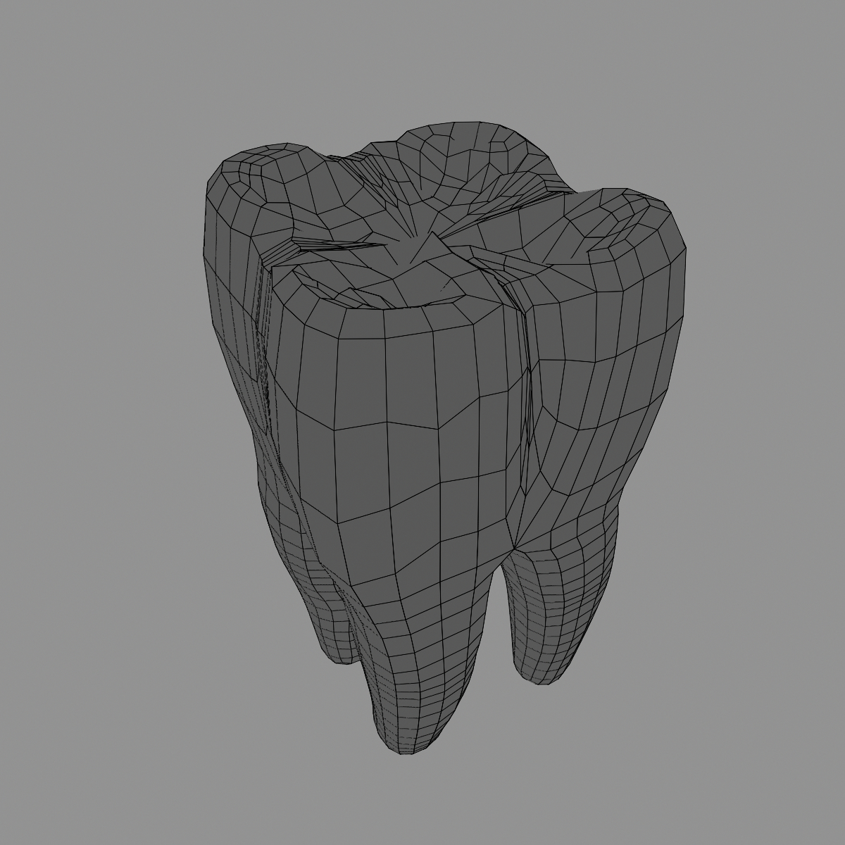 3d model tooth