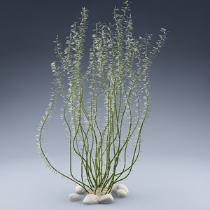 3dsmax aqua plant