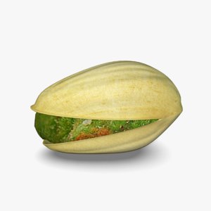 3d model pistachio nut