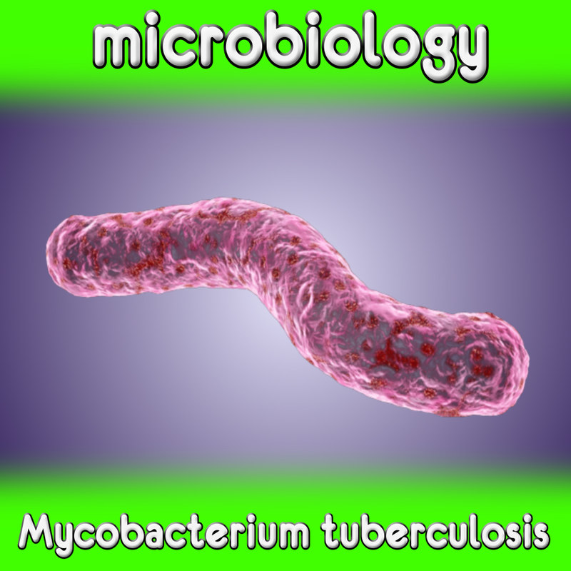 Микобактерия возбудитель. Мукобактериум туберкулез. Палочка Коха (Mycobacterium tuberculosis). Микобактерии туберкулеза под электронным микроскопом.