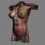 human female torso anatomy muscles 3d model