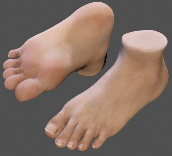 lowpoly foot3d模型