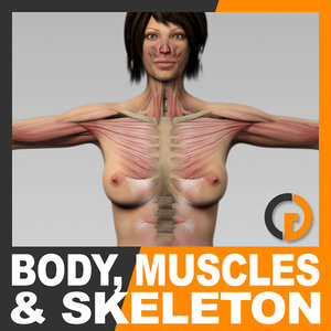 3ds max anatomically human female body