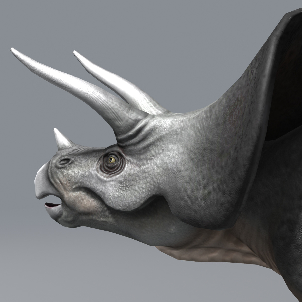 triceratops cretaceous period