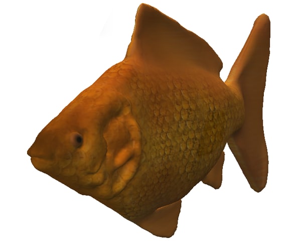 3d金鱼模型