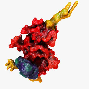 3d model prion - mad cow