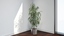 oleander plants growfx 3d obj