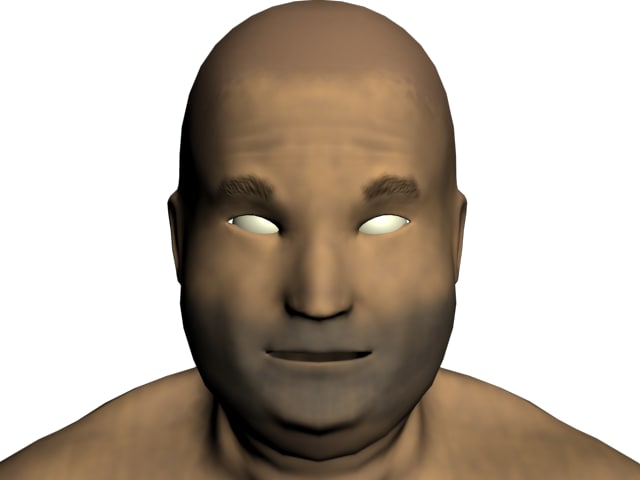 fat figure model