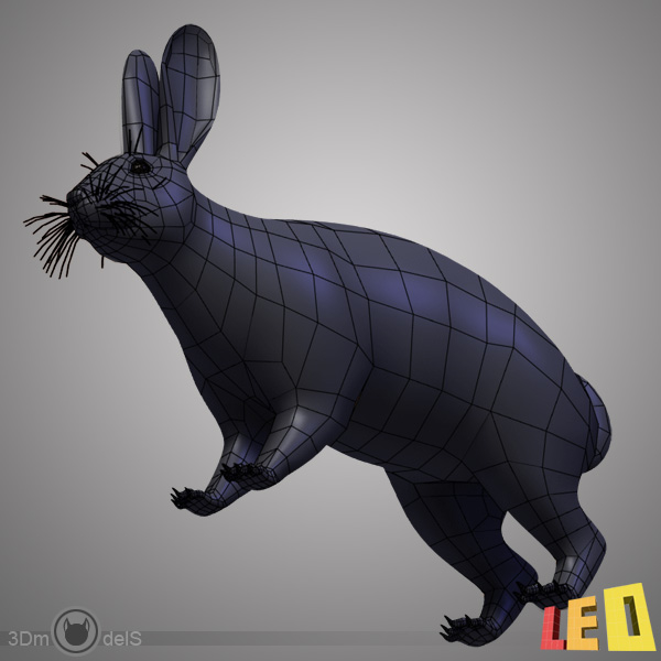3d rabbit
