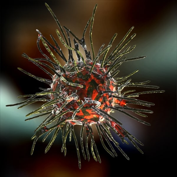 Retrovirus 3d Model