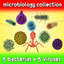 microbiology virus 3d model