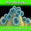 microbiology virus 3d model