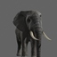 elephant pros 3d