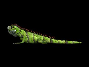 3ds max lizard animation