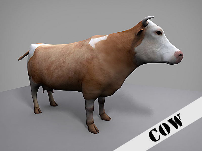 3d model of cow bovine