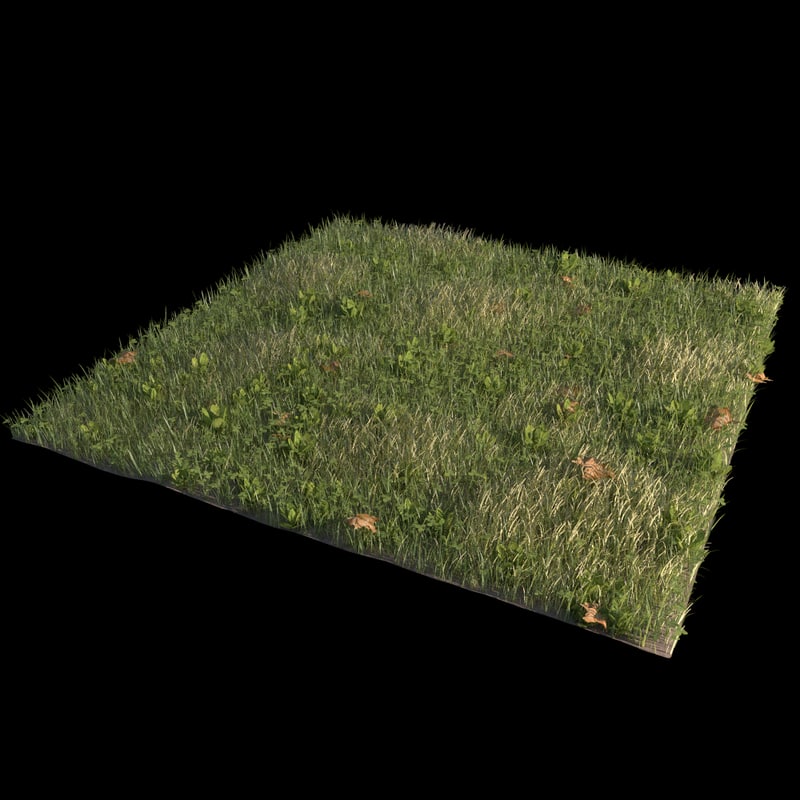 field 2 3d model