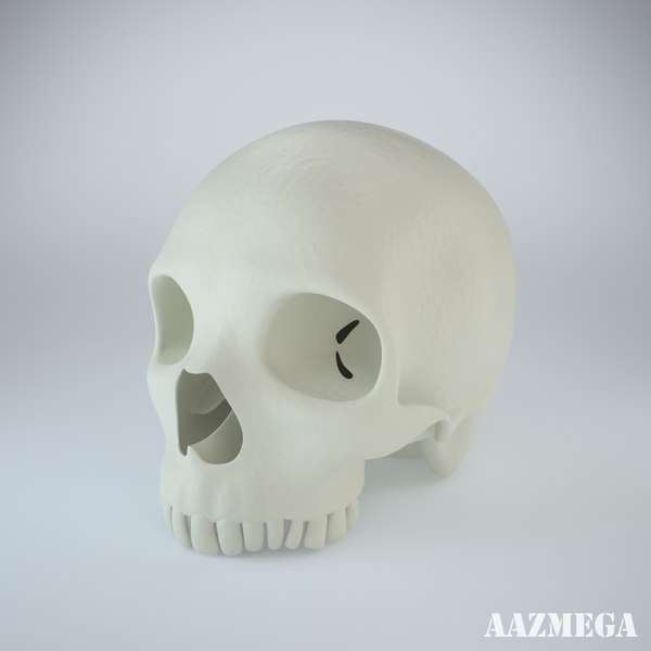 photorealistic human skull max