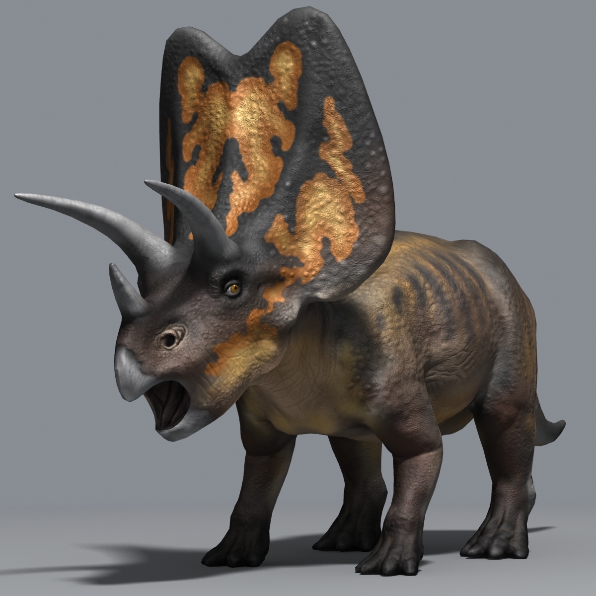 pentaceratops fossil