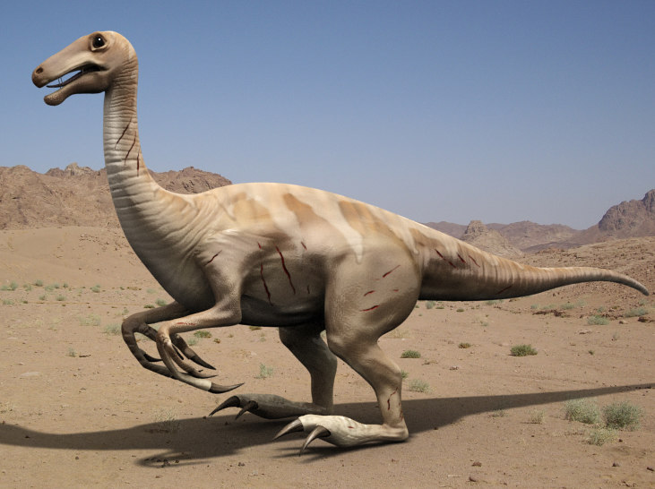 Gallimimus Dinosaurs Omnivore Max