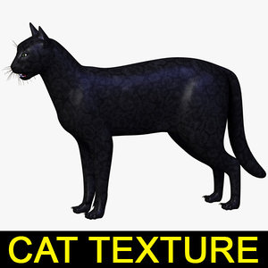 3d model cat feline animal