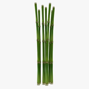 3d fresh bamboo cane