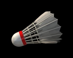 3d model badminton shuttlecock