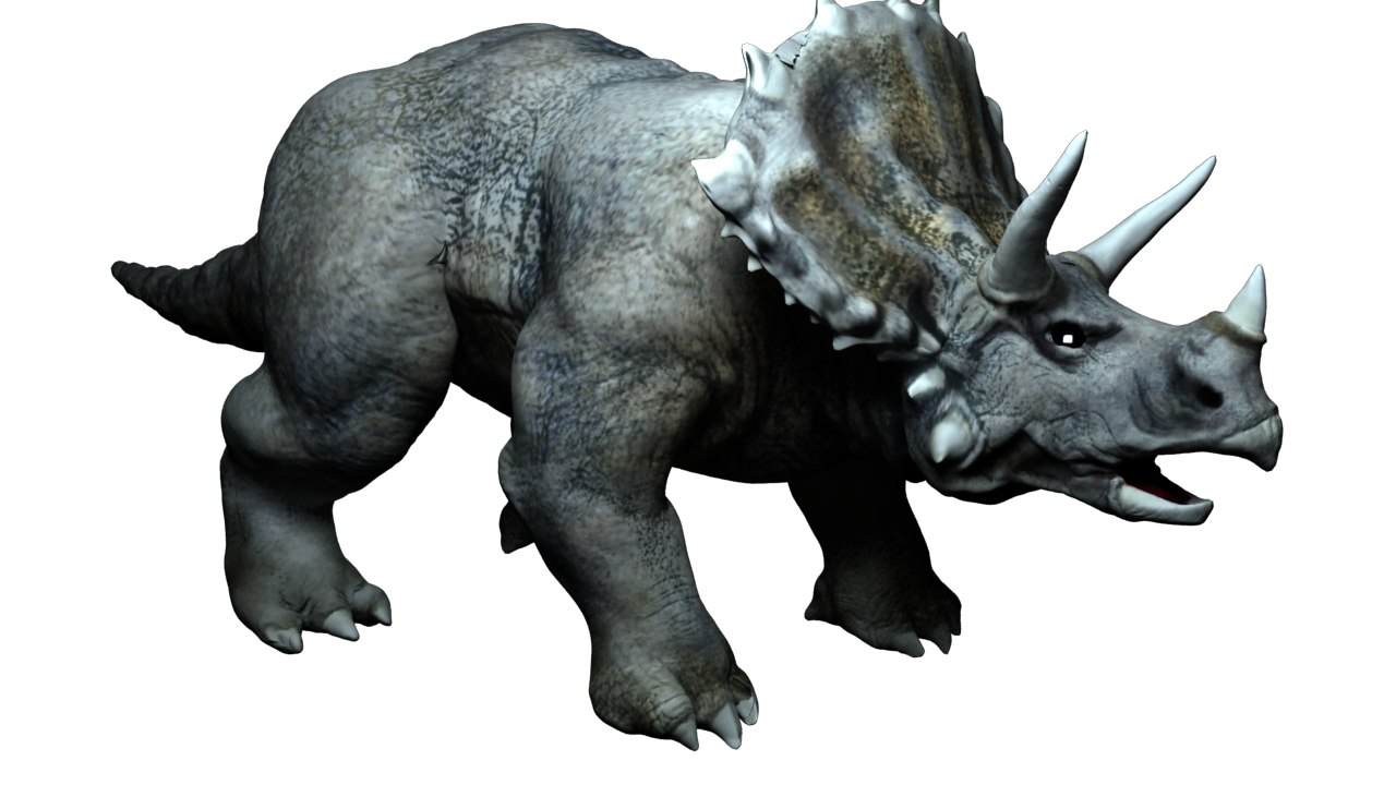 triceratops view in 3d