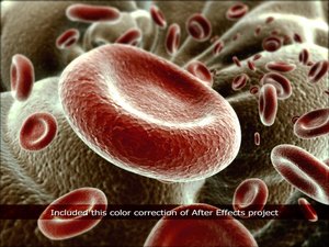 red blood cells 3d model