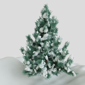 pine tree snow max