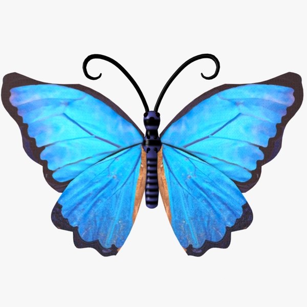 3d butterfly blue fly