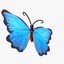 3d butterfly blue fly
