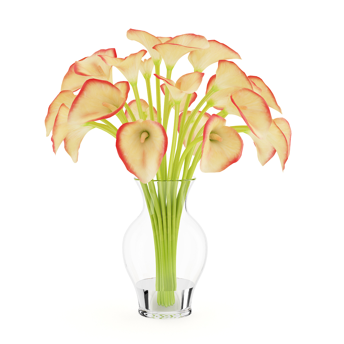 Calla Lilies Vase