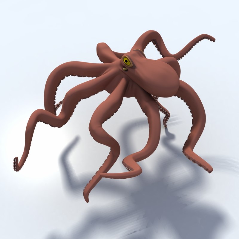 3d model octopus giant pacific