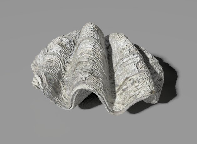 3ds Max Giant Clam