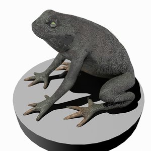 3d toad