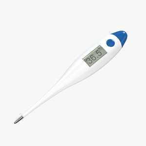 max digital thermometer