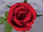 3d model rose animation