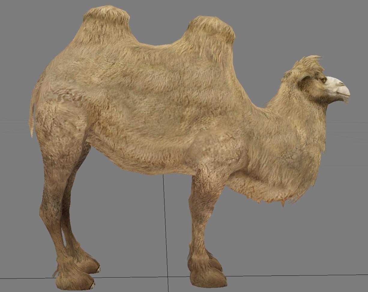 camel 3d max