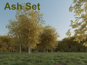 3d ash tree set
