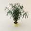 3d plant pot