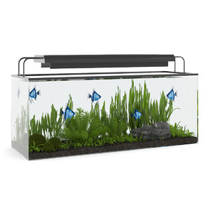 aquarium rectangular 3d max