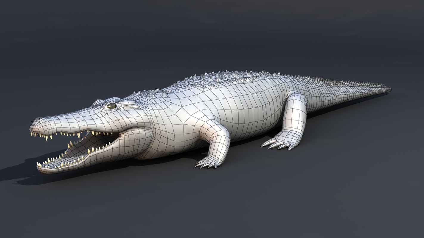 pop max crocodile