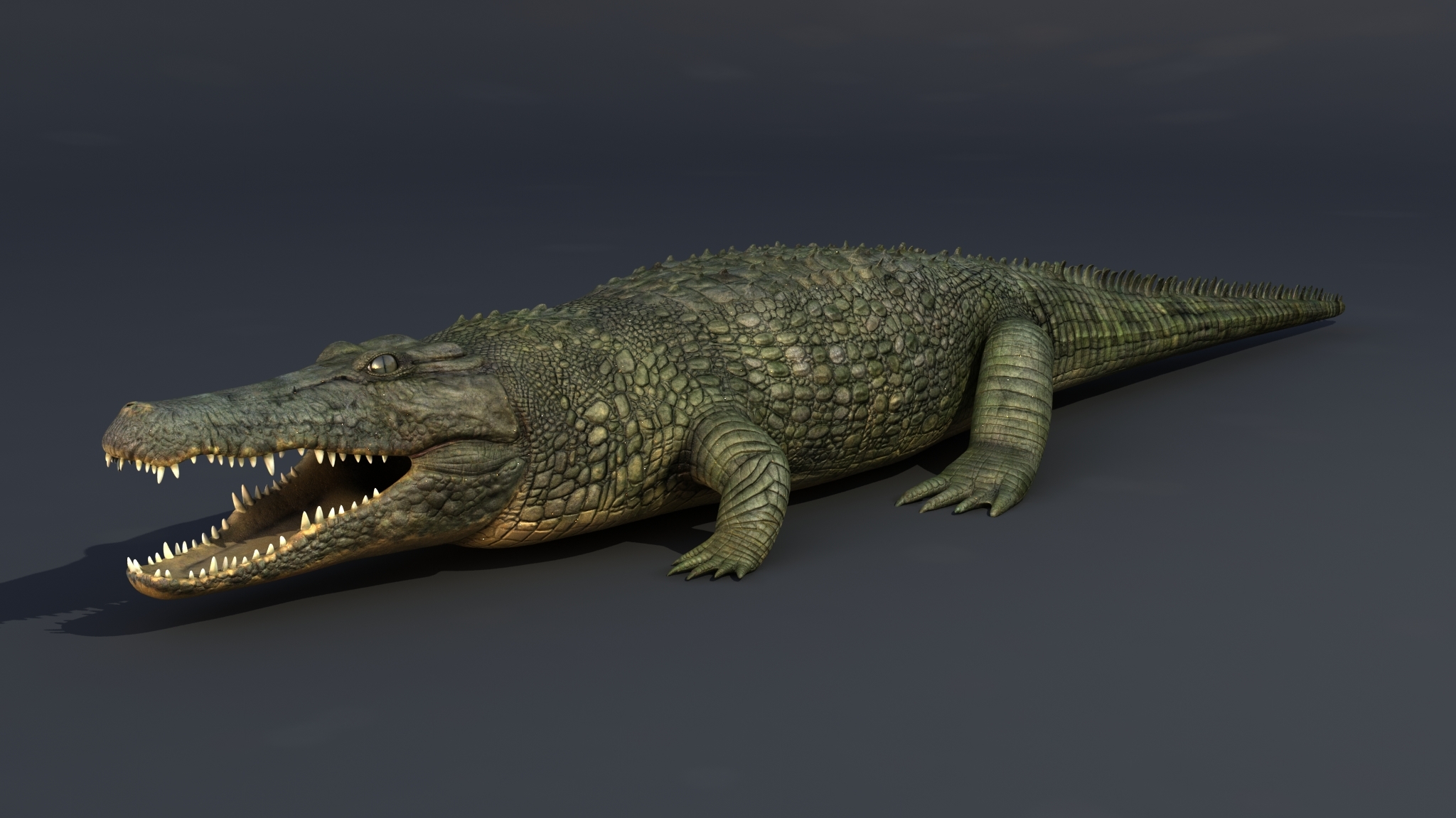 crocodile max